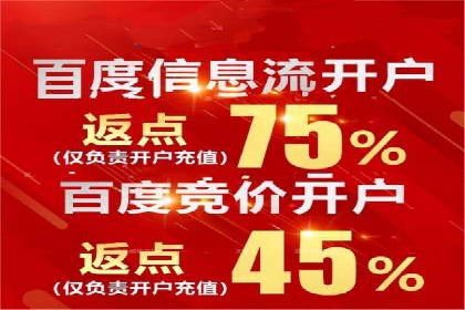 案例研究：竞价广告助力电商行业增长